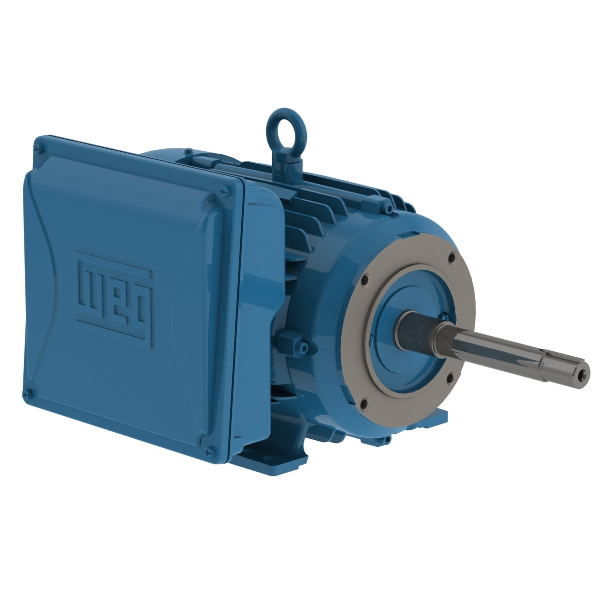 Tefc pump online motor