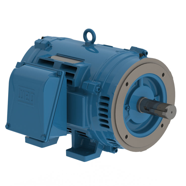 Weg Electric Motors