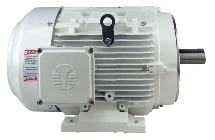 Techtop Washdown Duty Motor Side