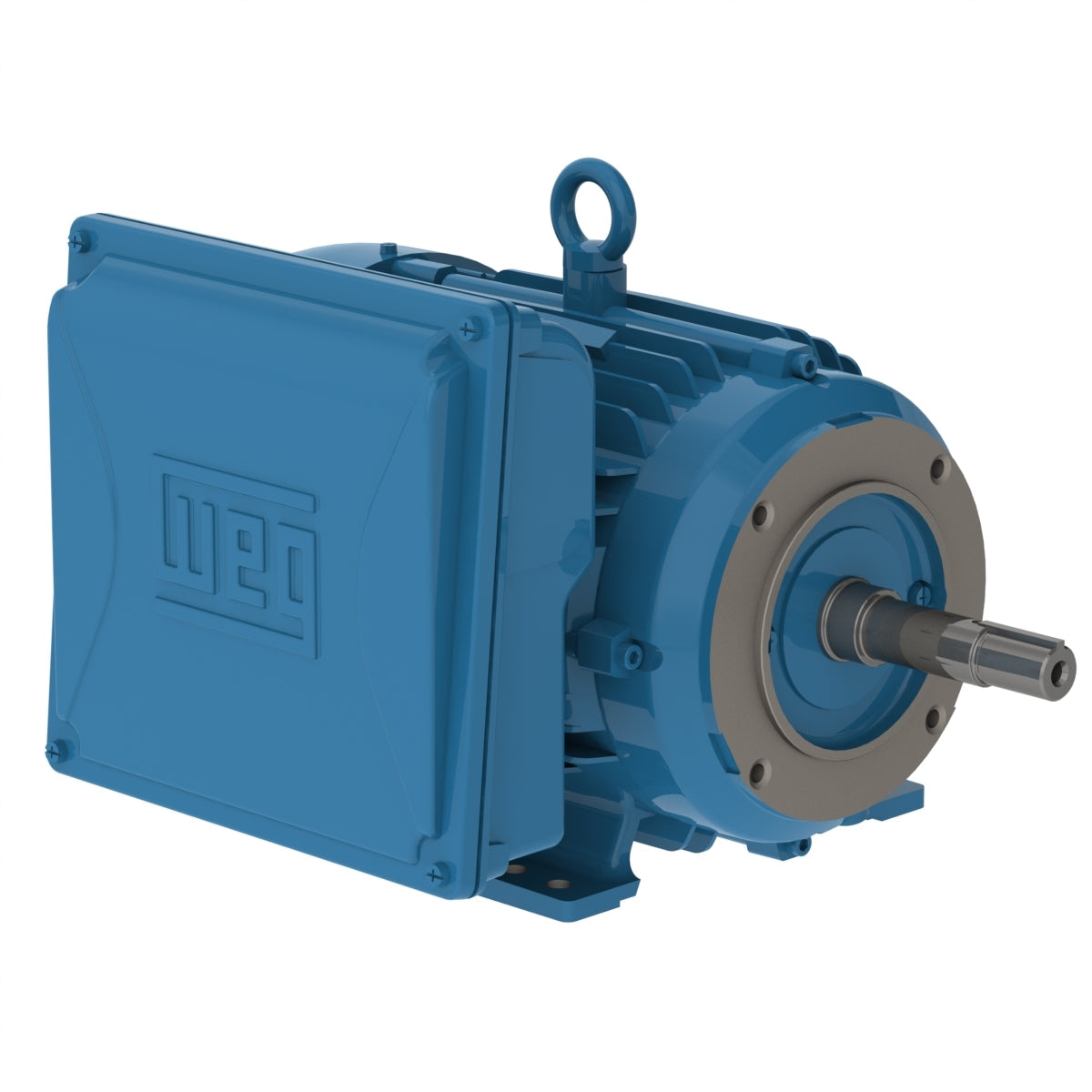 Weg Close-Coupled Pump Motor