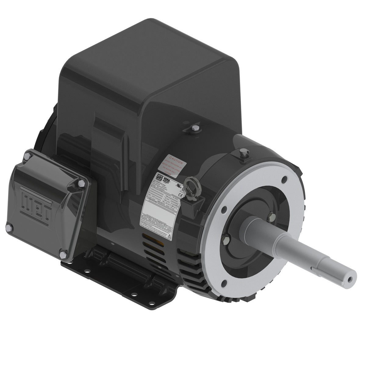 Weg Close-Coupled Pump Motor