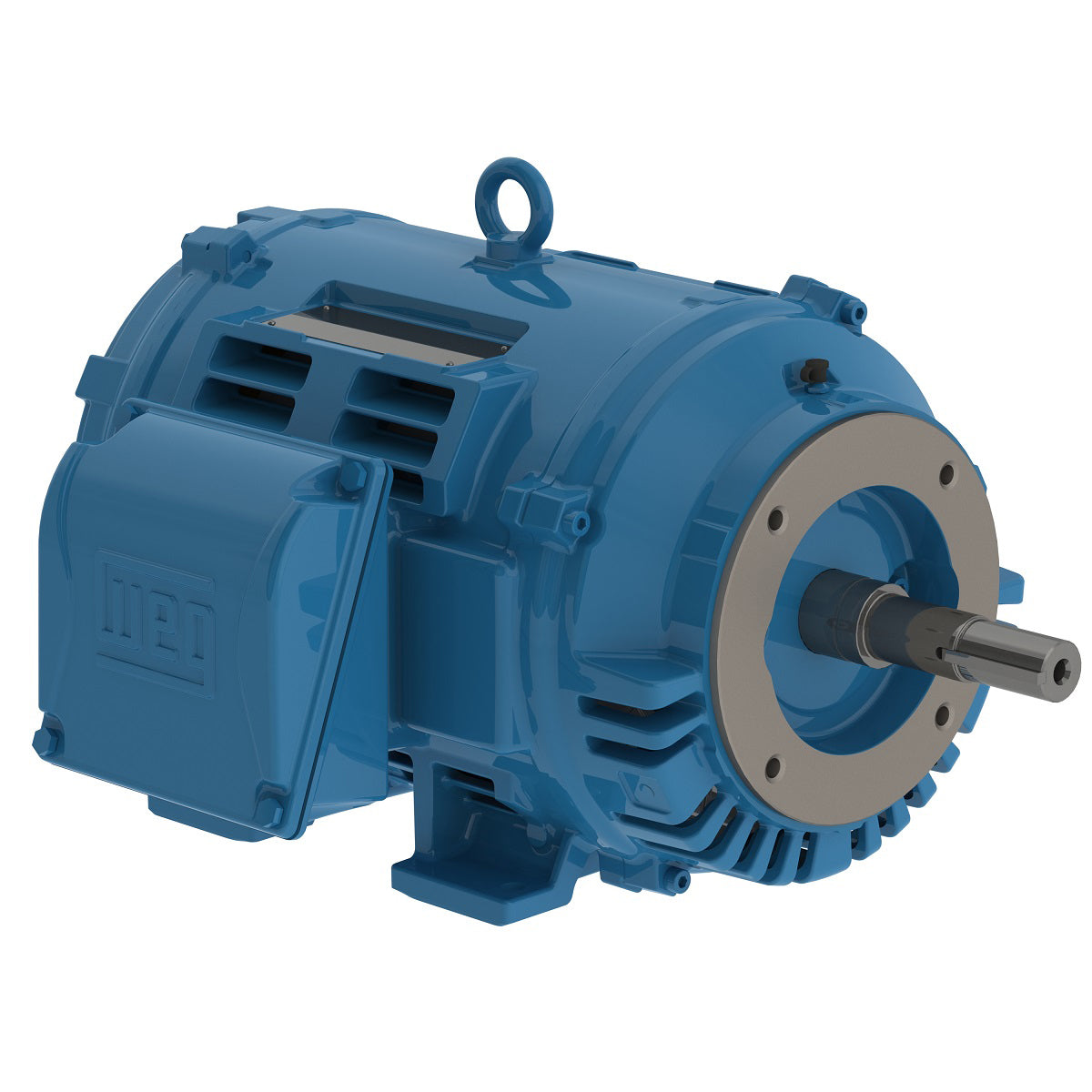 Weg Close-Coupled Pump Motor