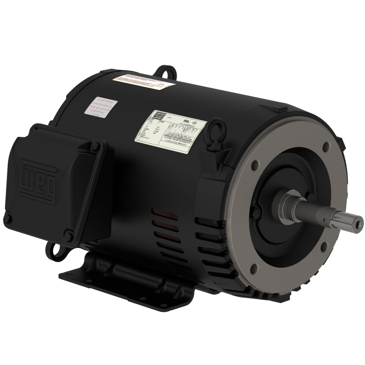 Weg Close-Coupled Pump Motor