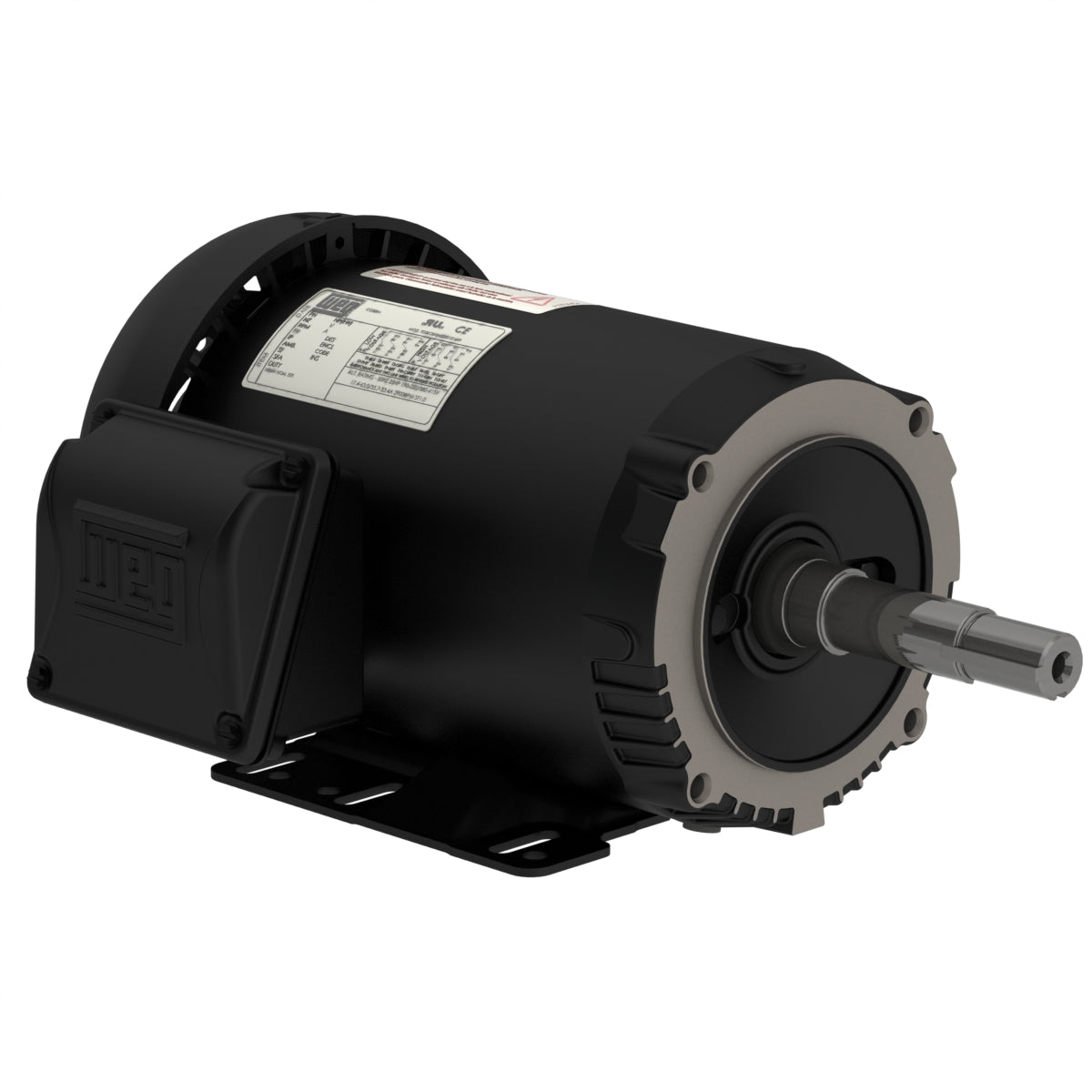 Weg Close-Coupled Pump Motor