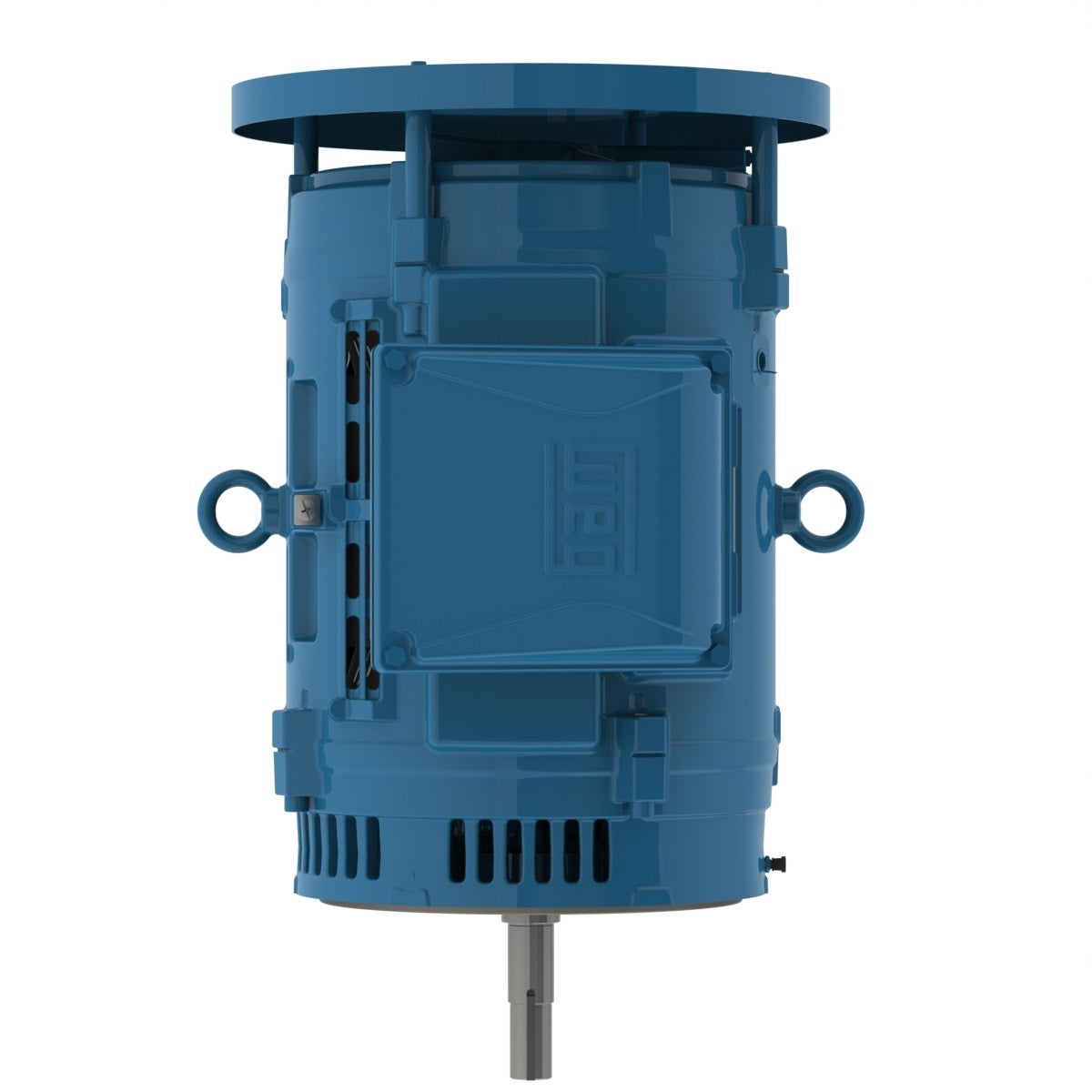 Weg Close-Coupled Pump Motor