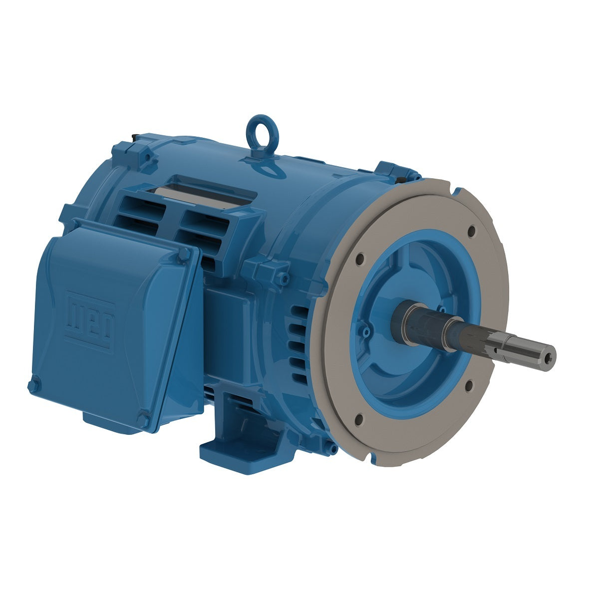 Weg Close-Coupled Pump Motor