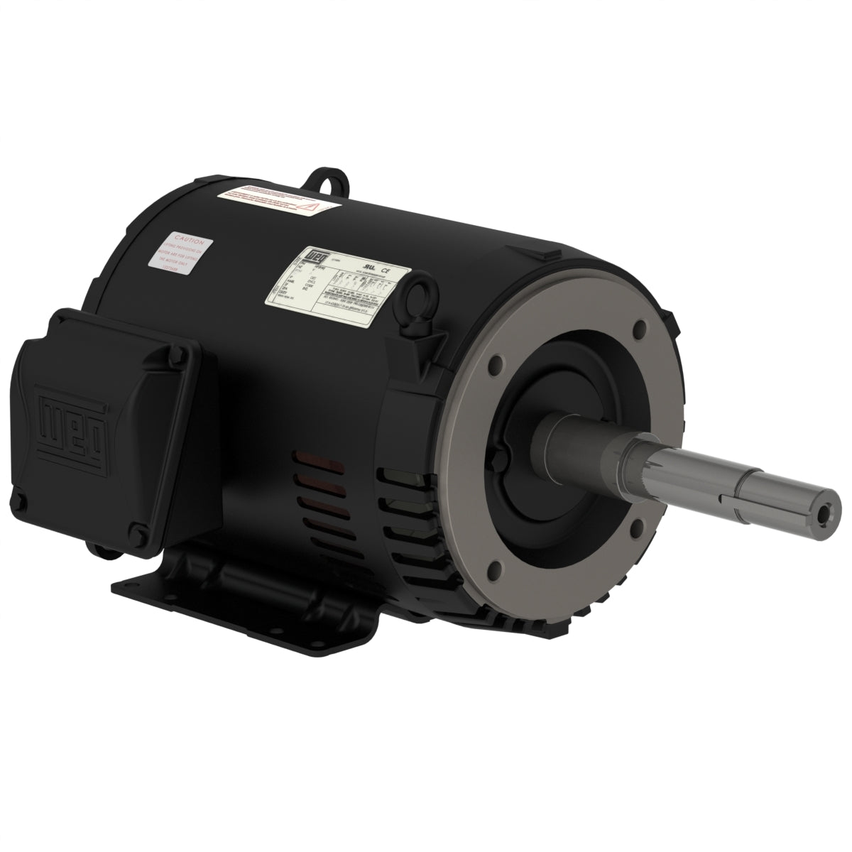 Weg Close-Coupled Pump Motor