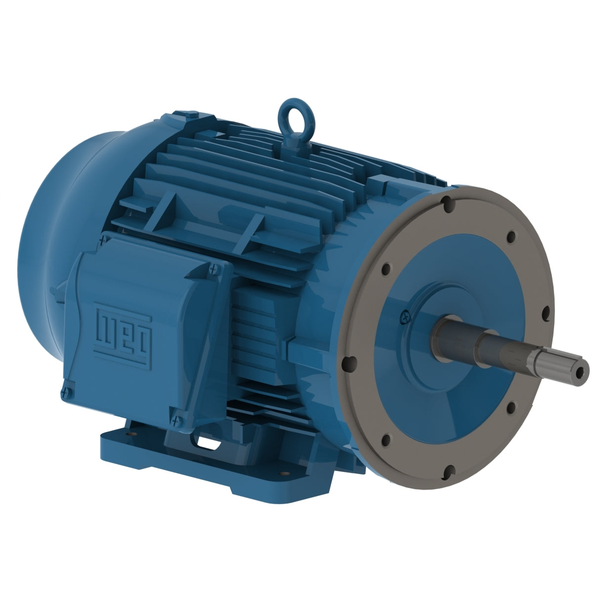 Weg Close-Coupled Pump Motor