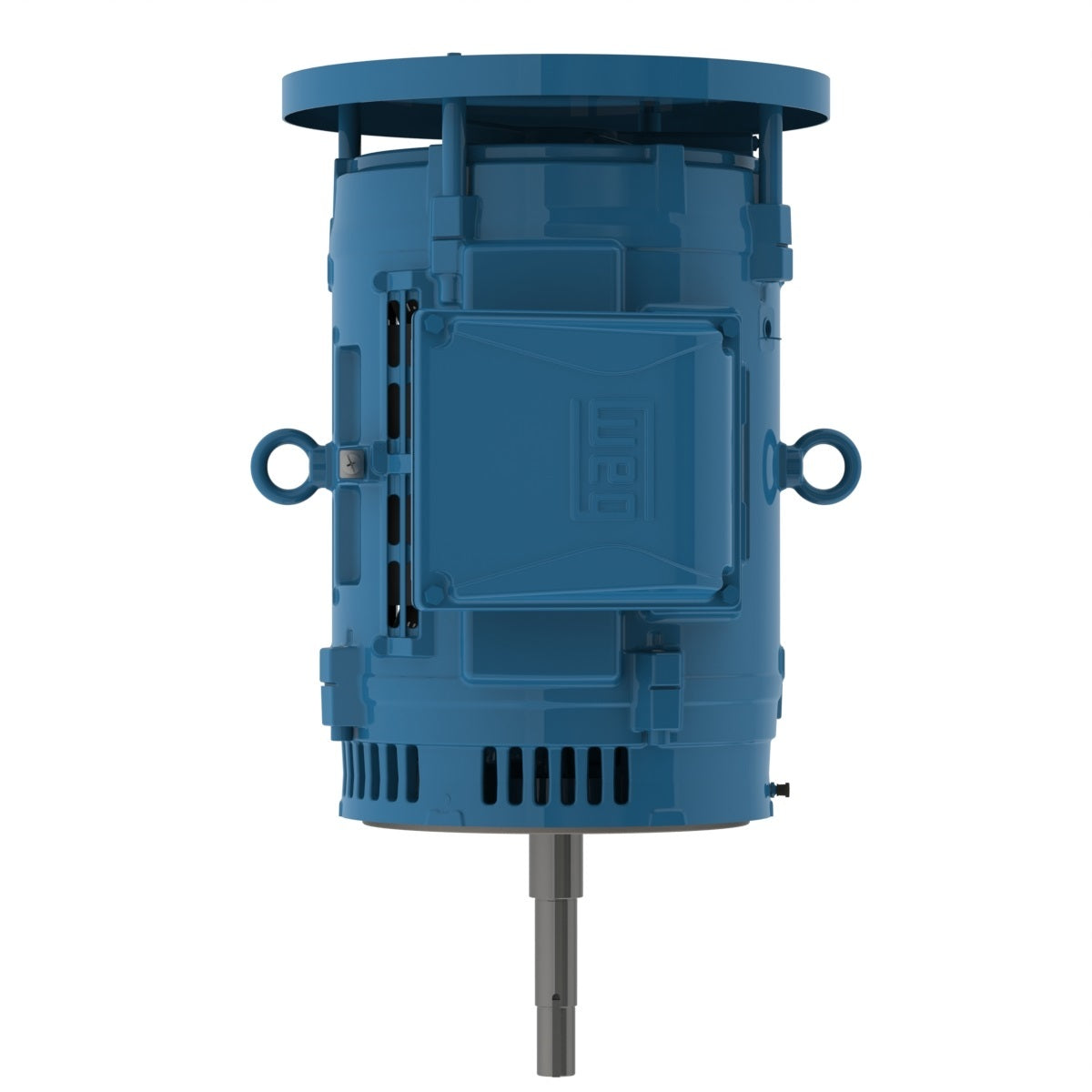 Weg Close-Coupled Pump Motor