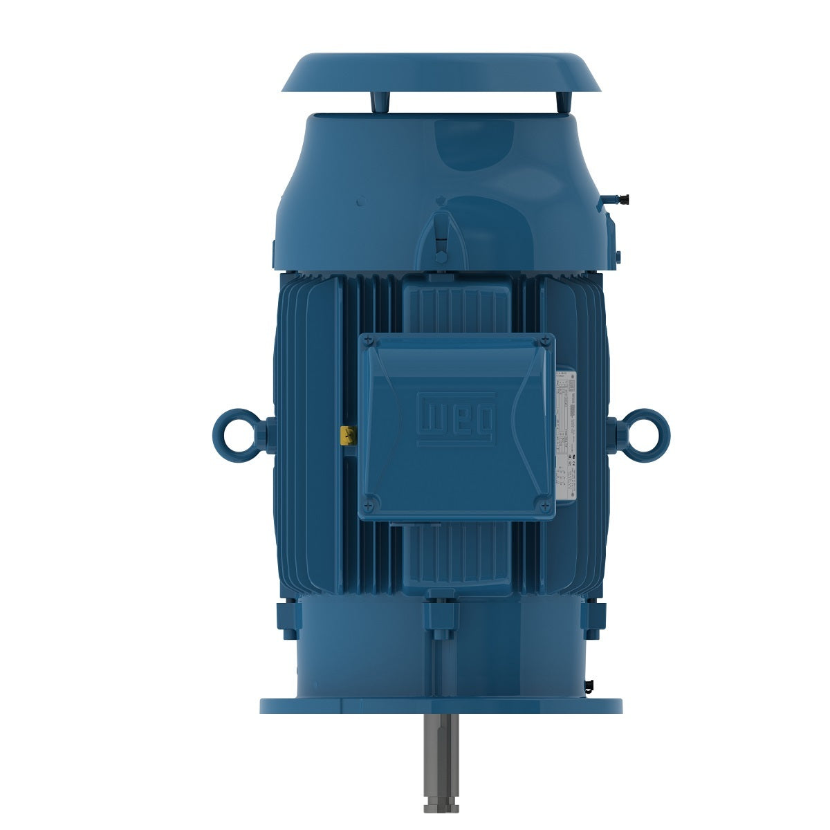 Weg Close-Coupled Pump Motor