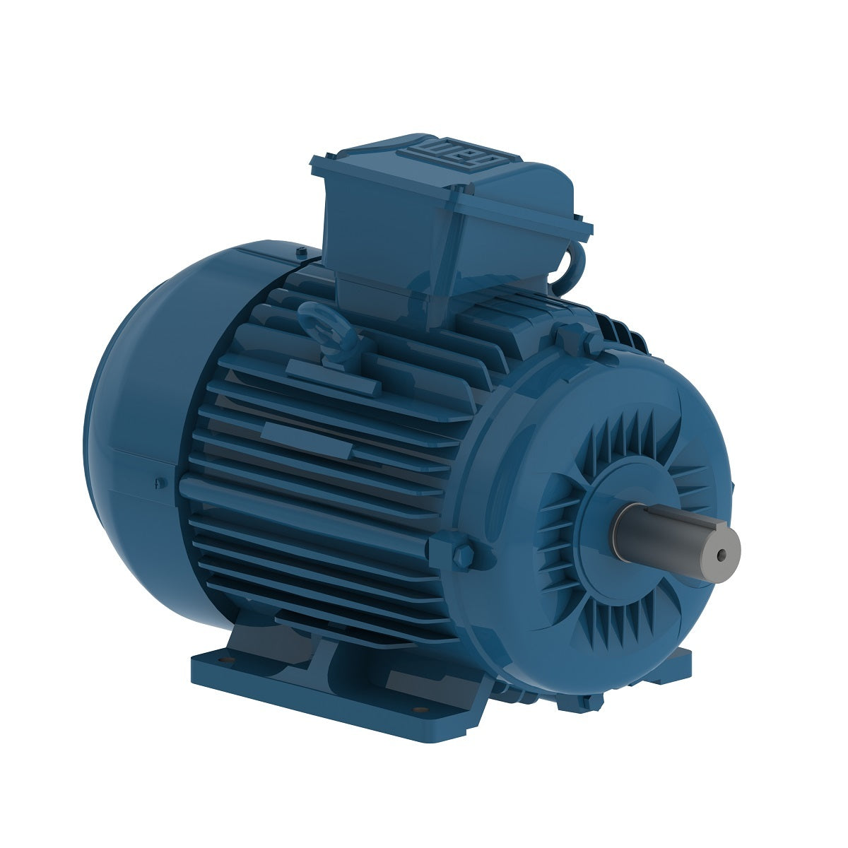 Weg W22 Motor