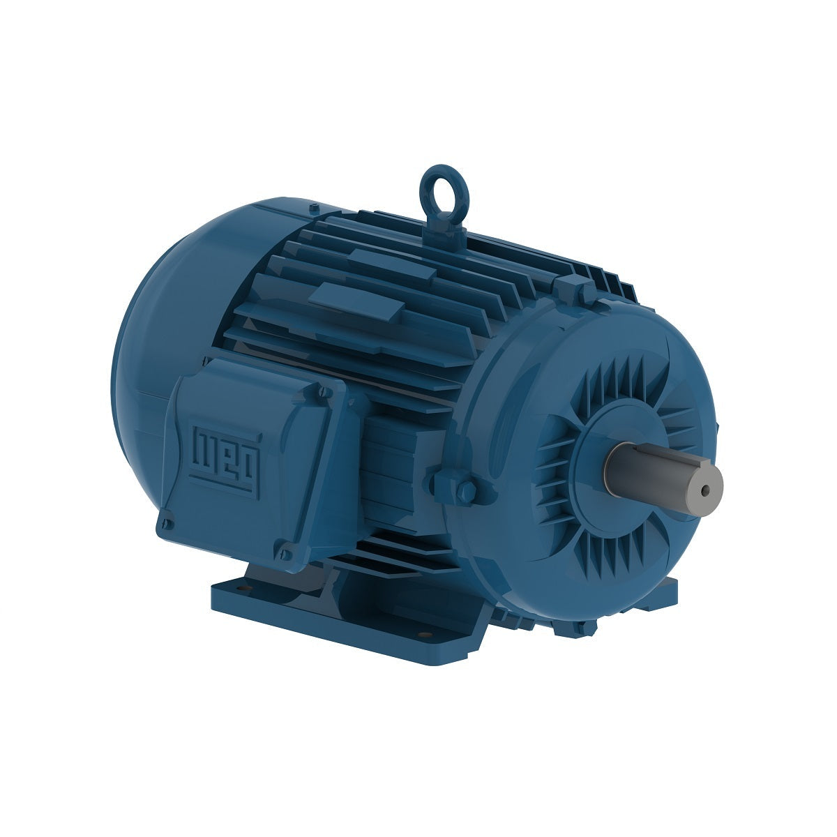 Weg W22 Motor