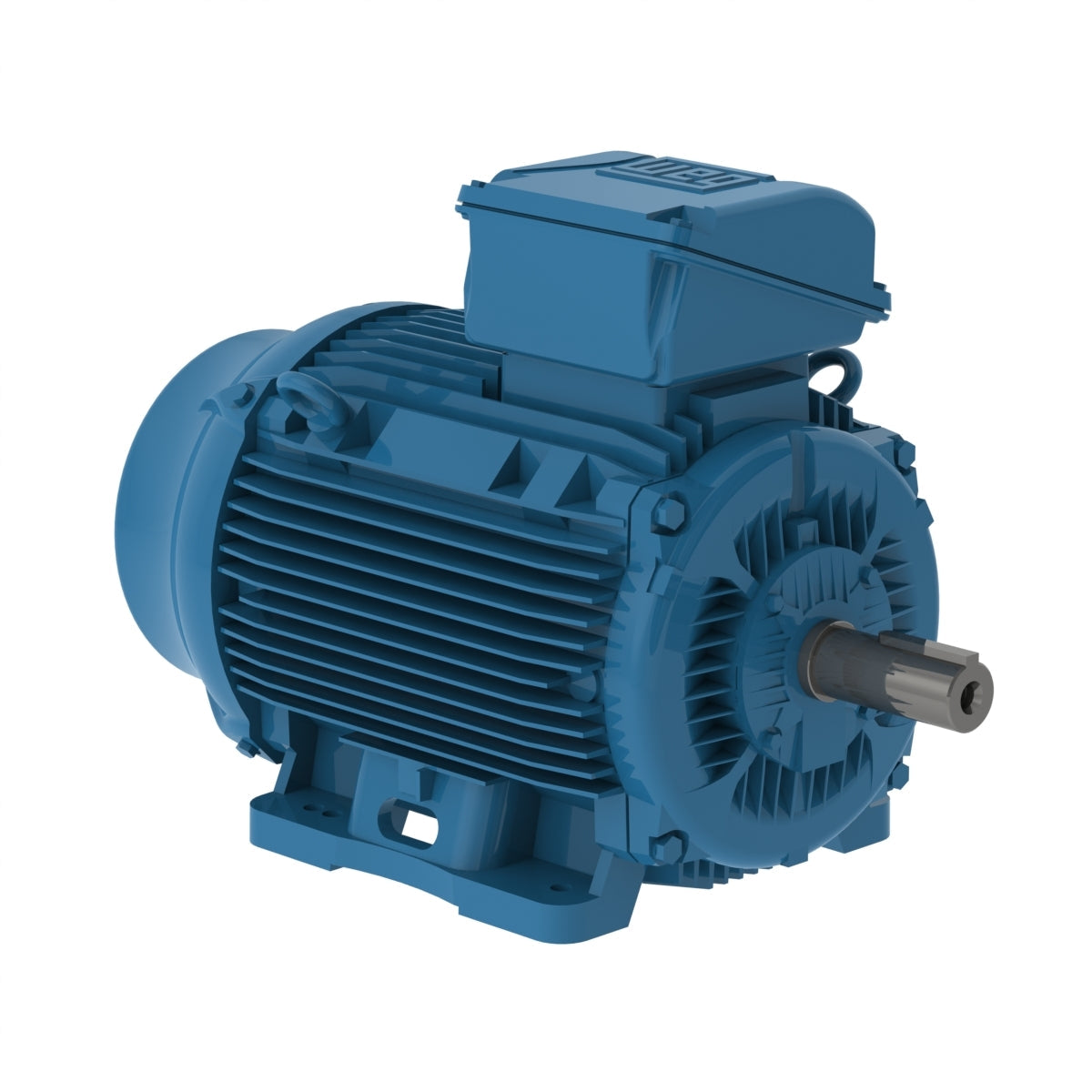 Weg W22 Motor