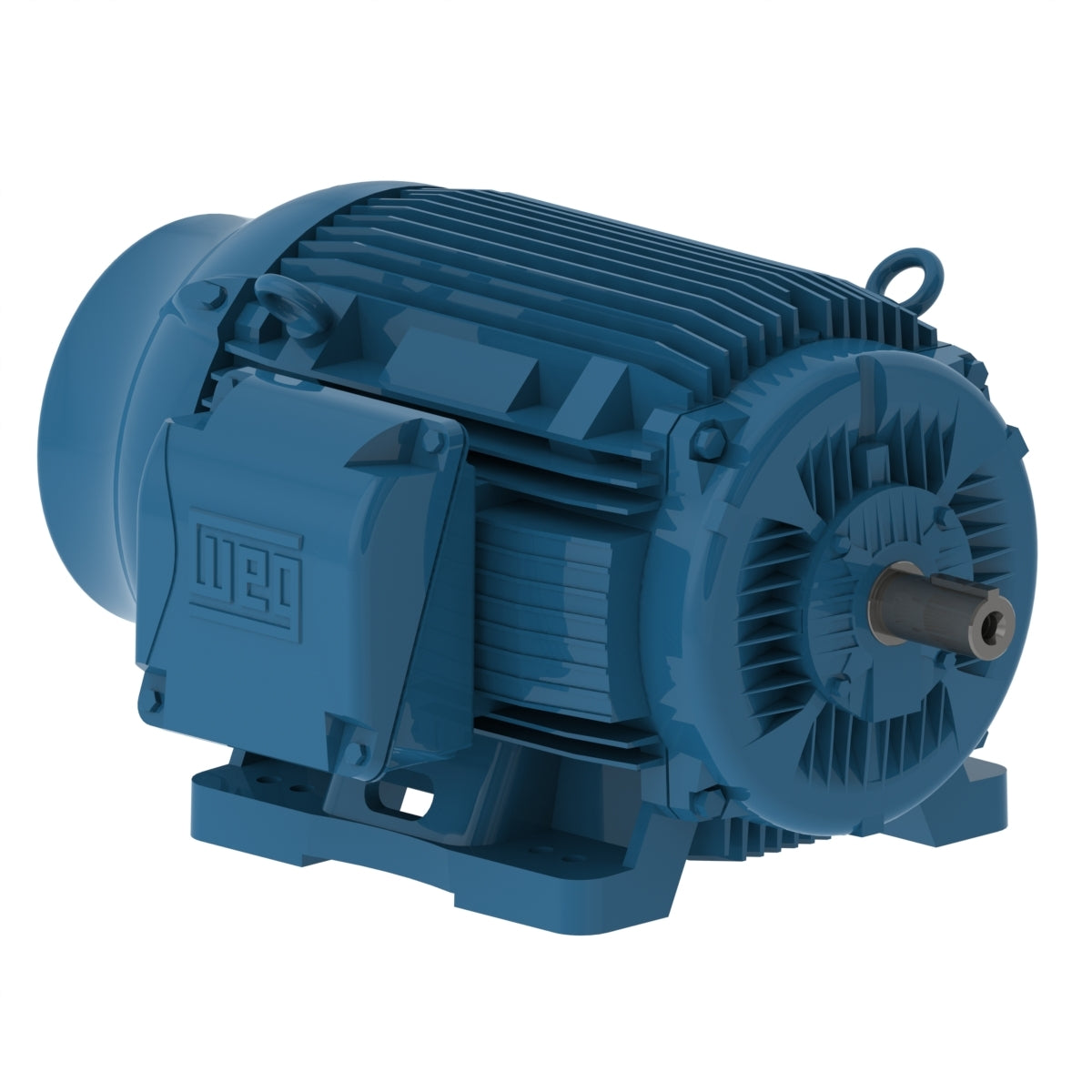 Weg W22 Motor