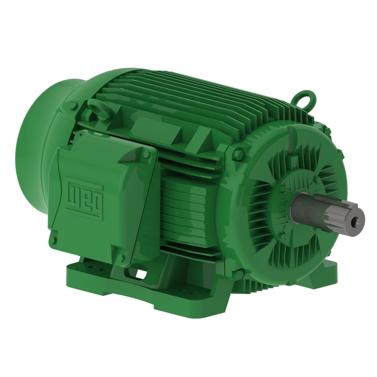 Weg W22 Motor