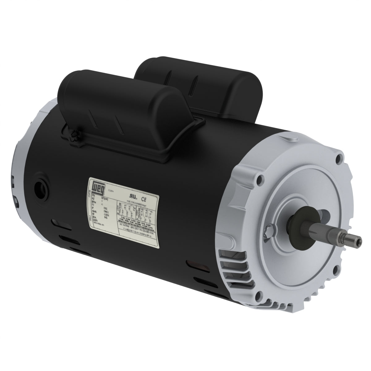 Weg Jet Pump Motor