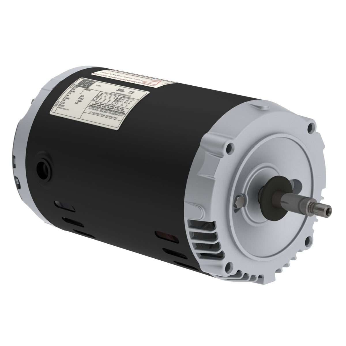 Weg Jet Pump Motor