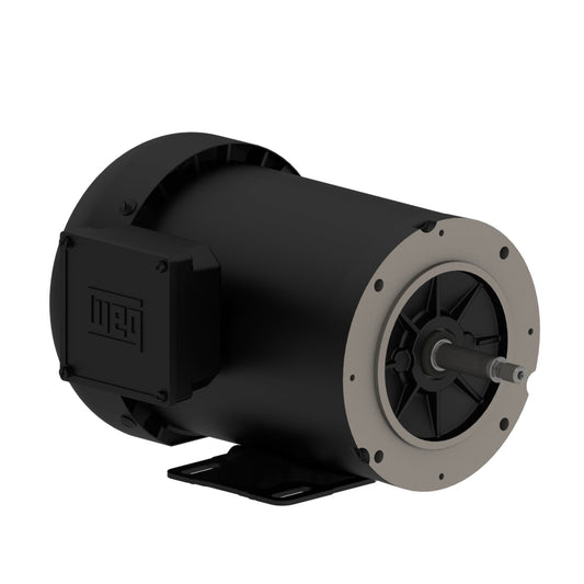 Weg Jet Pump Motor