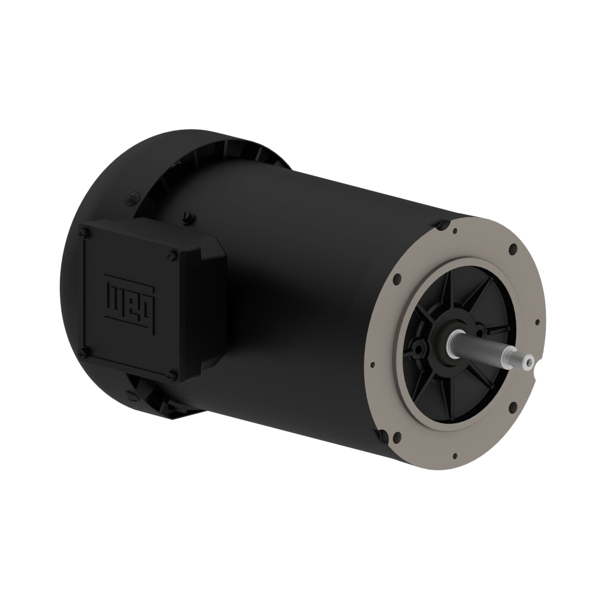 Weg Jet Pump Motor